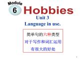 八年级下 Module 6 Hobbies  Unit 3 Language in use 课件