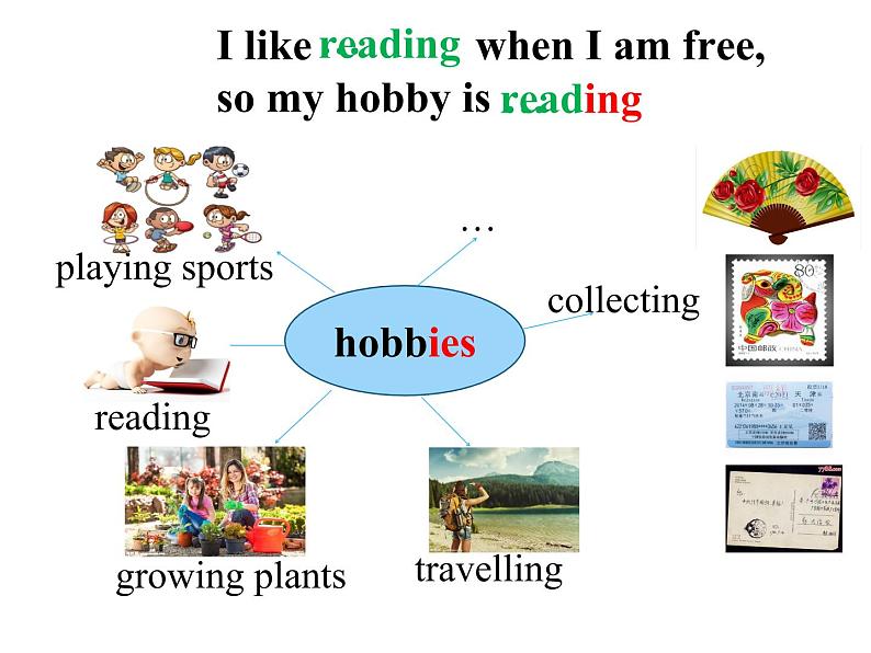 八年级下 Module 6 Hobbies Unit 1 Do you collect anything 课件08