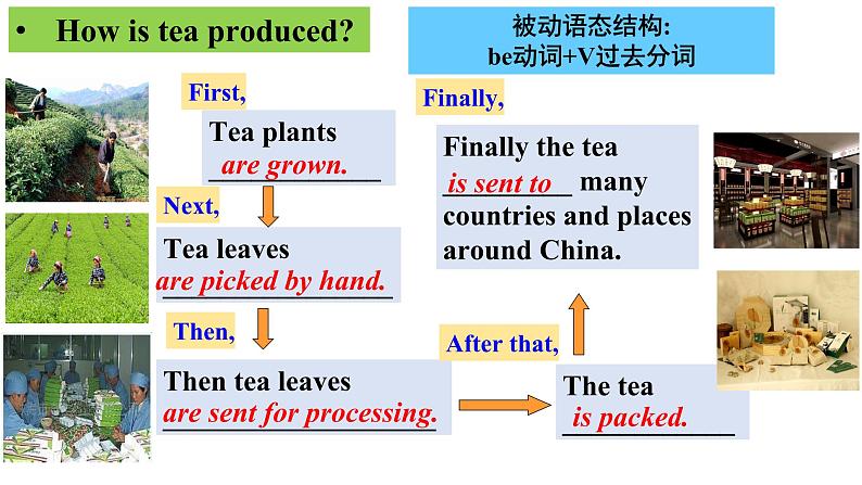 Unit5 What are the shirts made of   SectionA2d&Grammar Focus第5页