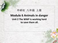 初中外研版 (新标准)Unit 2 The WWF is working hard to save them all.课前预习课件ppt