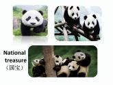 八上Module 6 Unit 2 The WWF is working hard to save them all.课件