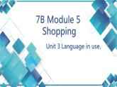 七年级下  Module 5 Shopping  Unit 3 Language in use课件