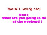 七年级下Module3 Unit1 What are you going to do at the weekends?  课件