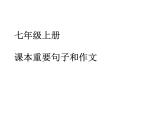 外研版英语七年级上册期中复习课件