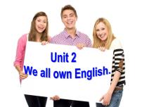 外研版 (新标准)九年级下册Module 7 English for you and meUnit 2 We all own English.教案配套ppt课件