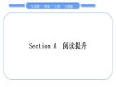 人教版九年级英语上Unit 8　It must belong to CarlaSection A　阅读提升习题课件