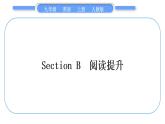 人教版九年级英语上Unit 8　It must belong to CarlaSection B　阅读提升习题课件