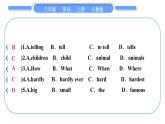 人教版八年级英语上Unit 6　I'm going to study computer scienceSection A　阅读提升习题课件