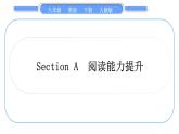 人教版八年级英语下Unit  5　What were you doing when the rainstorm came Section A  阅读能力提升习题课件