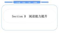 初中英语Section B习题课件ppt