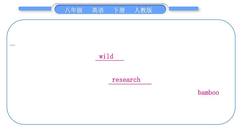 人教版八年级英语下Unit  7　What's the highest mountain in the world 第4课时　Section B(2a－3b)习题课件08