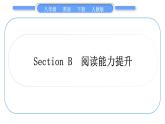 人教版八年级英语下Unit  10　I've had this bike for three years Section B  阅读能力提升习题课件