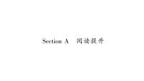 初中英语Section A习题ppt课件