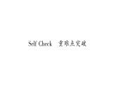 人教版九年级英语下Unit 12 Life is full of the unexpectedSelf Check 重难点突破习题课件
