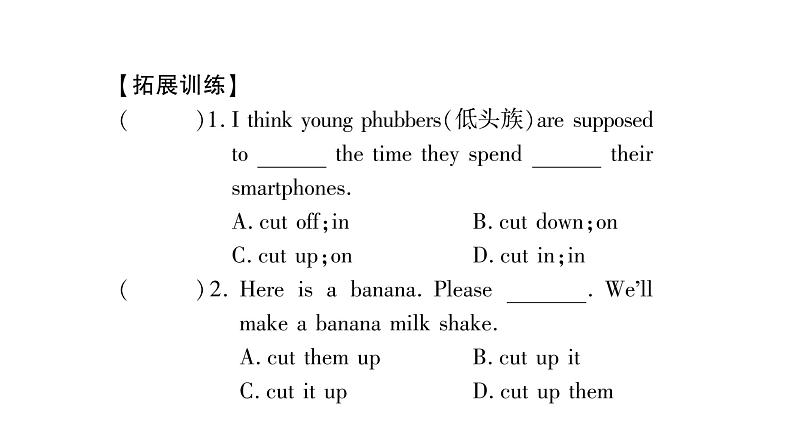 人教版九年级英语下Unit 13 We're trying to save the earth！Self Check 重难点突破习题课件07