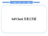 人教版八年级英语上Unit 1　Where did you go on vacationSelf Check重难点突破习题课件