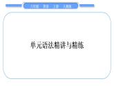 人教版八年级英语上Unit 6　I'm going to study computer science单元语法精讲与精练习题课件