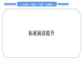 人教版八年级英语上Unit 6　I'm going to study computer science拓展阅读提升习题课件