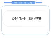 人教版八年级英语下Unit  6　An old man tried to move the mountains when the rainstorm came Self Check  重难点突破习题课件