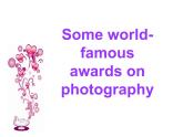 Module 11 PhotosUnit 2 The photo which we liked best was taken by Zhao Min 课件