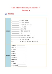 初中英语人教新目标 (Go for it) 版八年级上册Section A优秀同步练习题