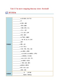 初中英语人教新目标 (Go for it) 版八年级上册Section B优秀习题