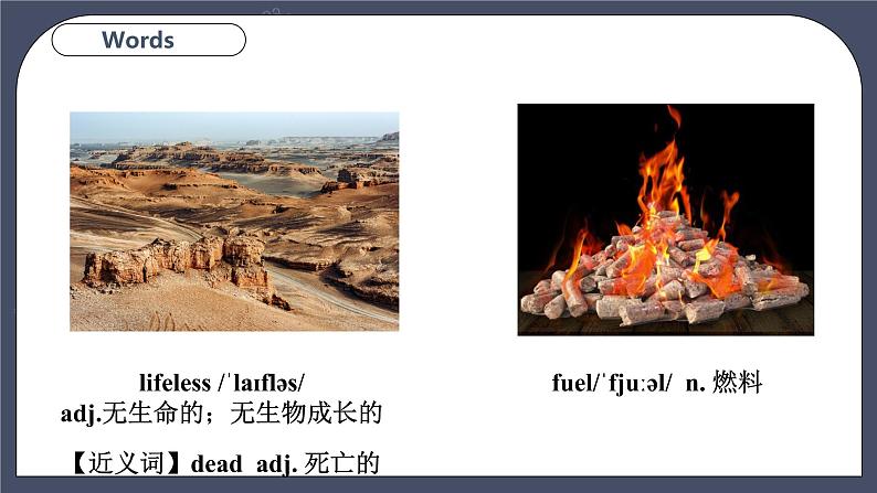 Module 2 Unit 3 The environment Period 1 Reading I第8页