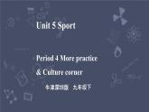 牛津深圳版 九下Module 3 Unit 5 Sport Period 4 More practice & Culture corner课件+教案+导学案