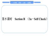 人教版九年级英语上Unit 2This is my sister第5课时　Section B(3a－Self Check)习题课件