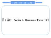 人教版九年级英语上Unit 3Is this your pencil第2课时　Section A(Grammar Focus－3c)习题课件