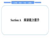 人教版九年级英语下Unit 1Section A　阅读能力提升习题课件