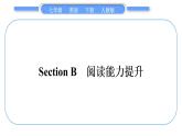 人教版七年级英语下Unit7Section B　阅读能力提升习题课件