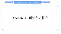 七年级下册Section B习题ppt课件