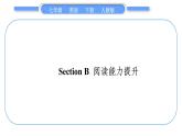 人教版七年级英语下Unit9Section B　阅读能力提升习题课件