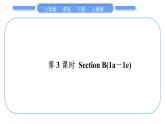 人教版七年级英语下Unit9第3课时　SectionB(1a－1e)习题课件