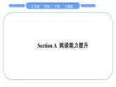 人教版七年级英语下Unit 10Section A　阅读能力提升习题课件
