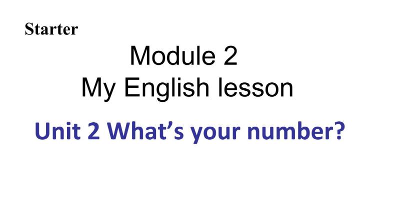 Starter Module 2 My English lesson 课件08