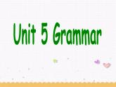 Unit5 Wild animals Grammar课件 译林版英语八年级上册