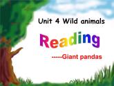 Unit5 Wild animals Reading1 课件 译林版英语八年级上册
