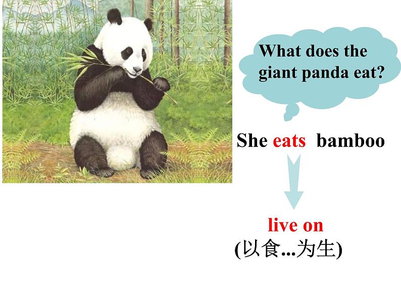 Unit5 Wild animals Reading2 公开课课件 译林版英语八年级上册第5页