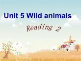 Unit5 Wild animals Reading2 课件 译林版英语八年级上册