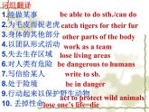 Unit5 Wild animals Study skills 课件 译林版英语八年级上册