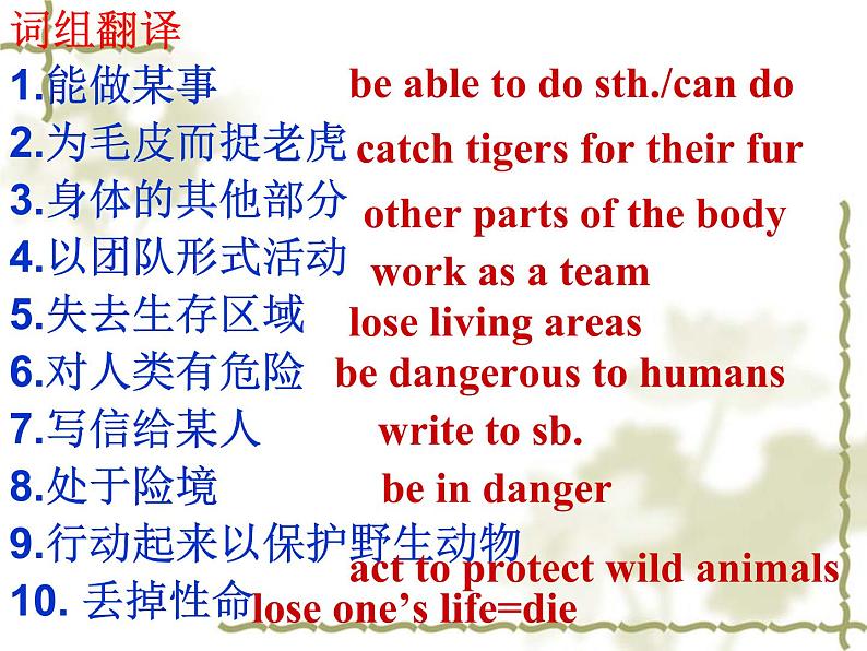 Unit5 Wild animals Study skills 课件 译林版英语八年级上册第3页