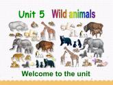 Unit5 Wild animals Welcome to the unit 课件 译林版英语八年级上册
