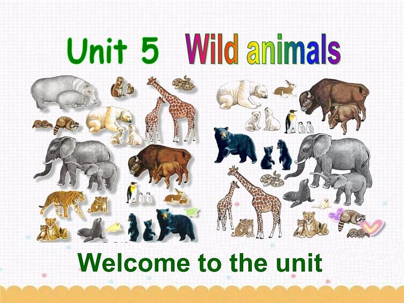 Unit5 Wild animals Welcome to the unit 课件 译林版英语八年级上册第1页