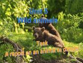 Unit5 Wild animals Task 课件 译林版英语八年级上册