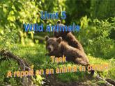 Unit5 Wild animals Task 課件 譯林版英語八年級(jí)上冊(cè)