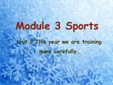 初中英语外研版九年级上册Module 3 Unit 2 课件