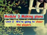 初中英语外研版九年级上册Module 3 Unit 2 课件