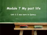 初中英语外研版九年级上册Module 7 Unit 2 课件